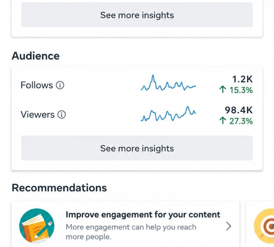 Facebook Campaign Insights